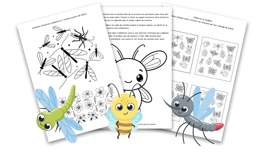 Les insectes MS/GS